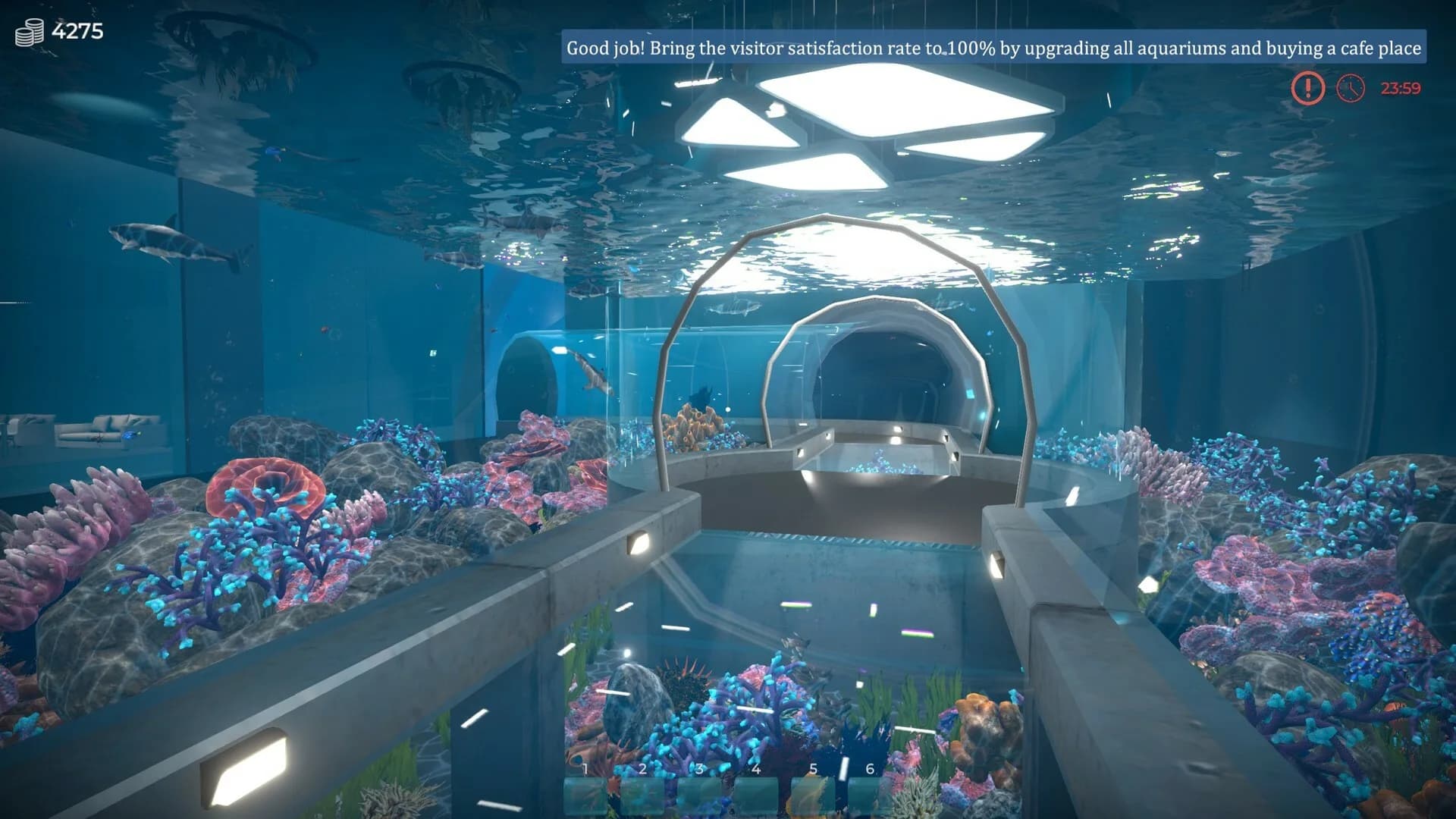Aquarist - akvaryumlar inşa et, balıkları üret, işini büyüt! görsel 3