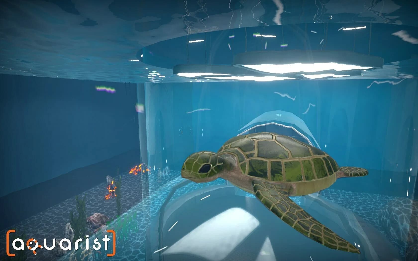 Aquarist - akvaryumlar inşa et, balıkları üret, işini büyüt! görsel 15