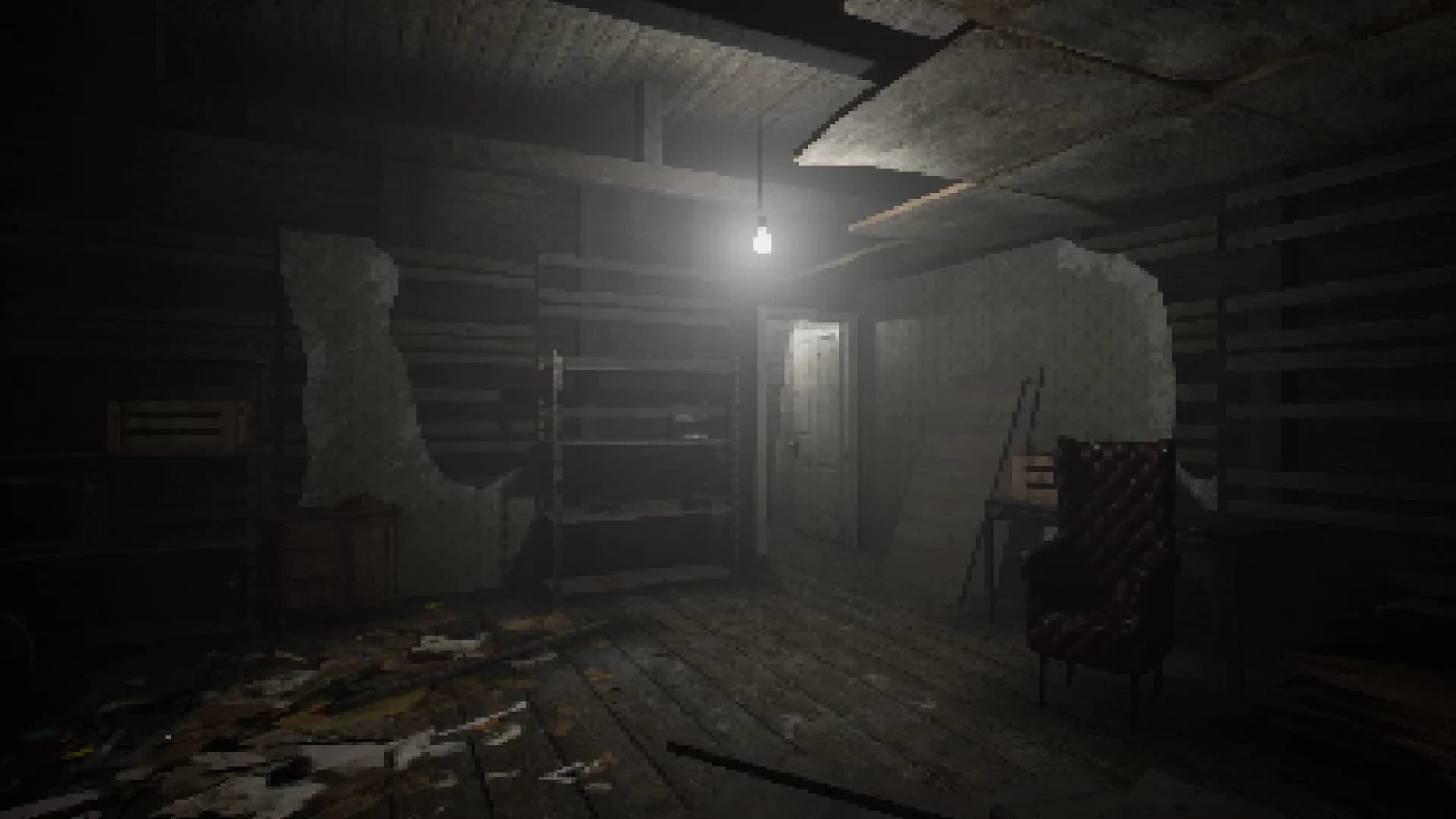 The Door in the Basement görsel 2
