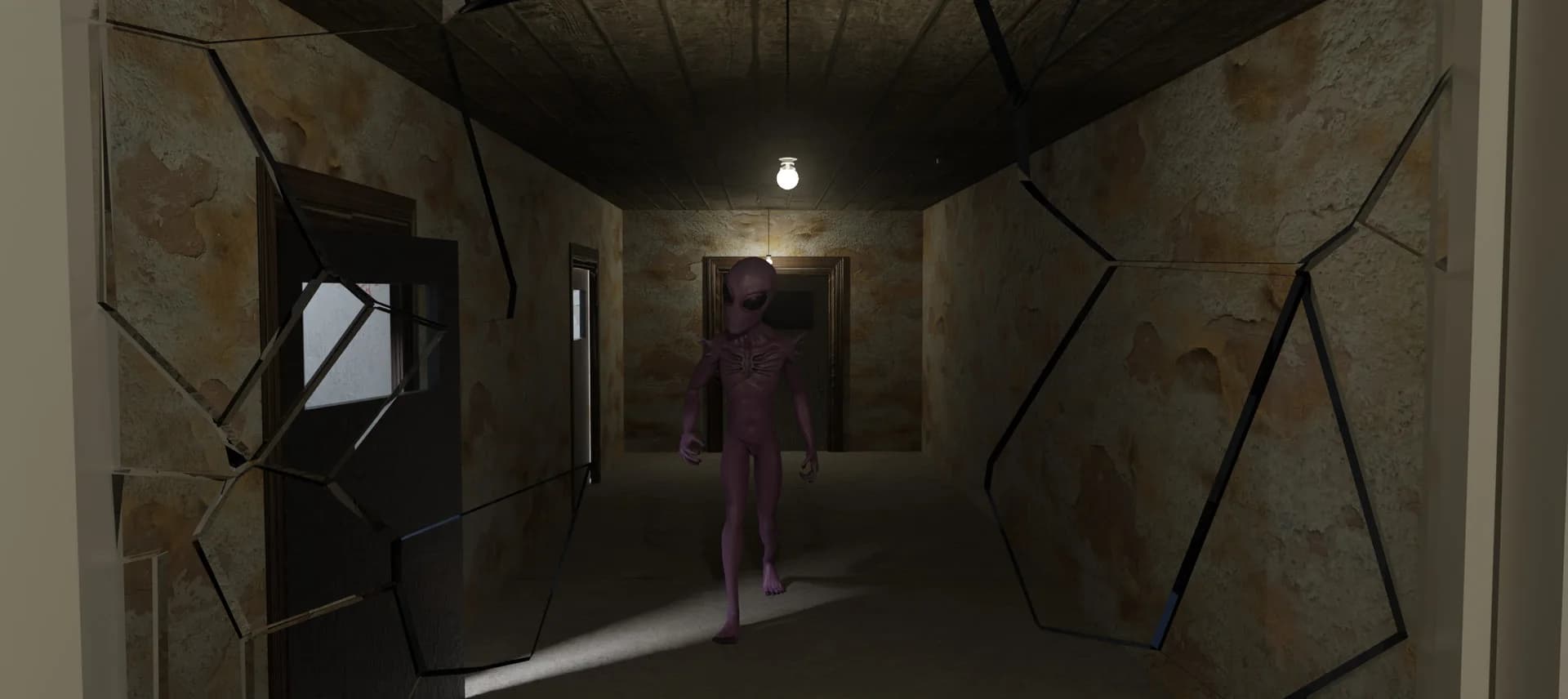 Mr. Walker's Basement görsel 3
