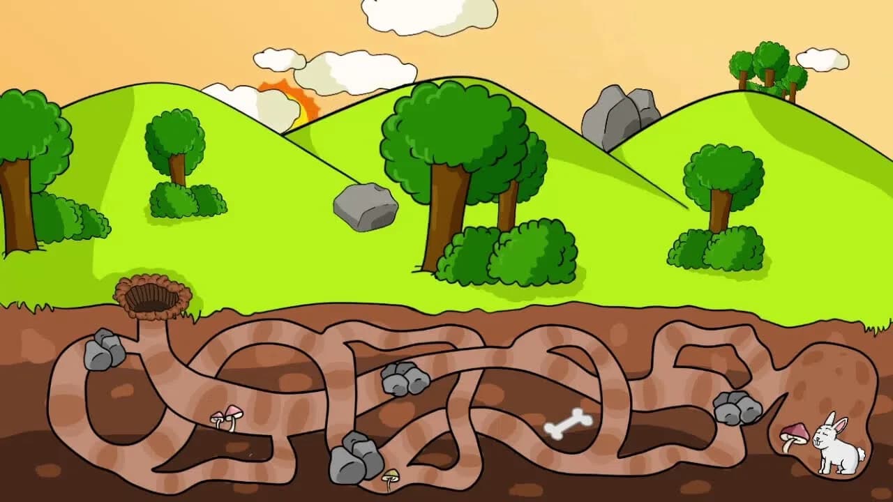 My Pets: Maze görsel 4