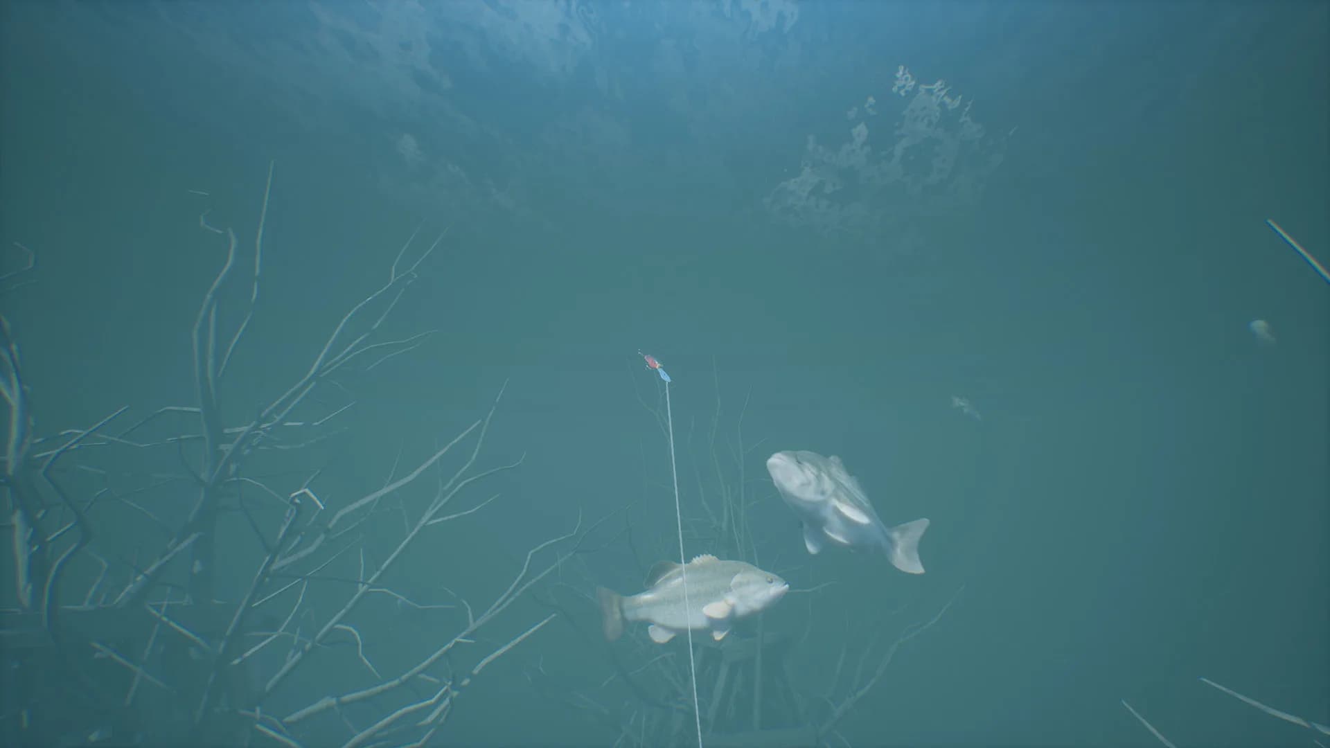Bassmaster® Fishing görsel 9