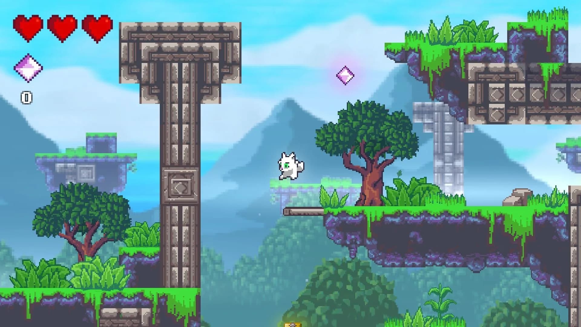 Super Neat Cat görsel 3