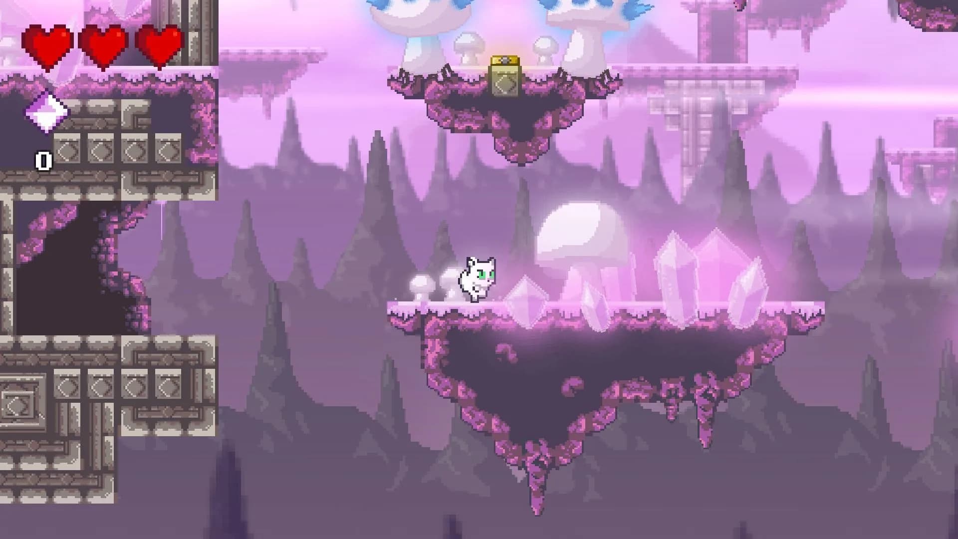 Super Neat Cat görsel 4