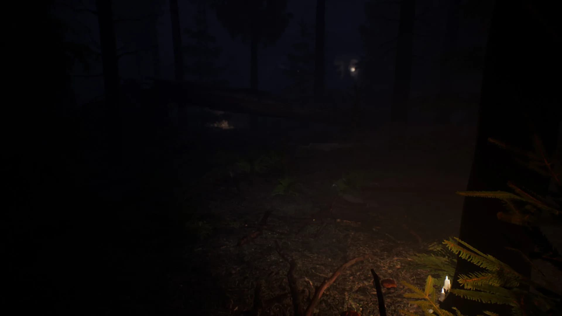 Misery Mansion görsel 6