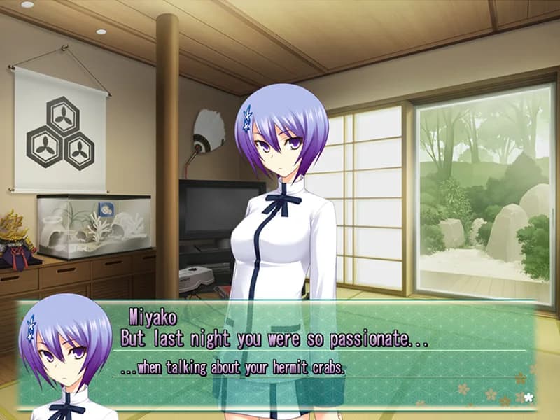 Majikoi! Love Me Seriously! görsel 17