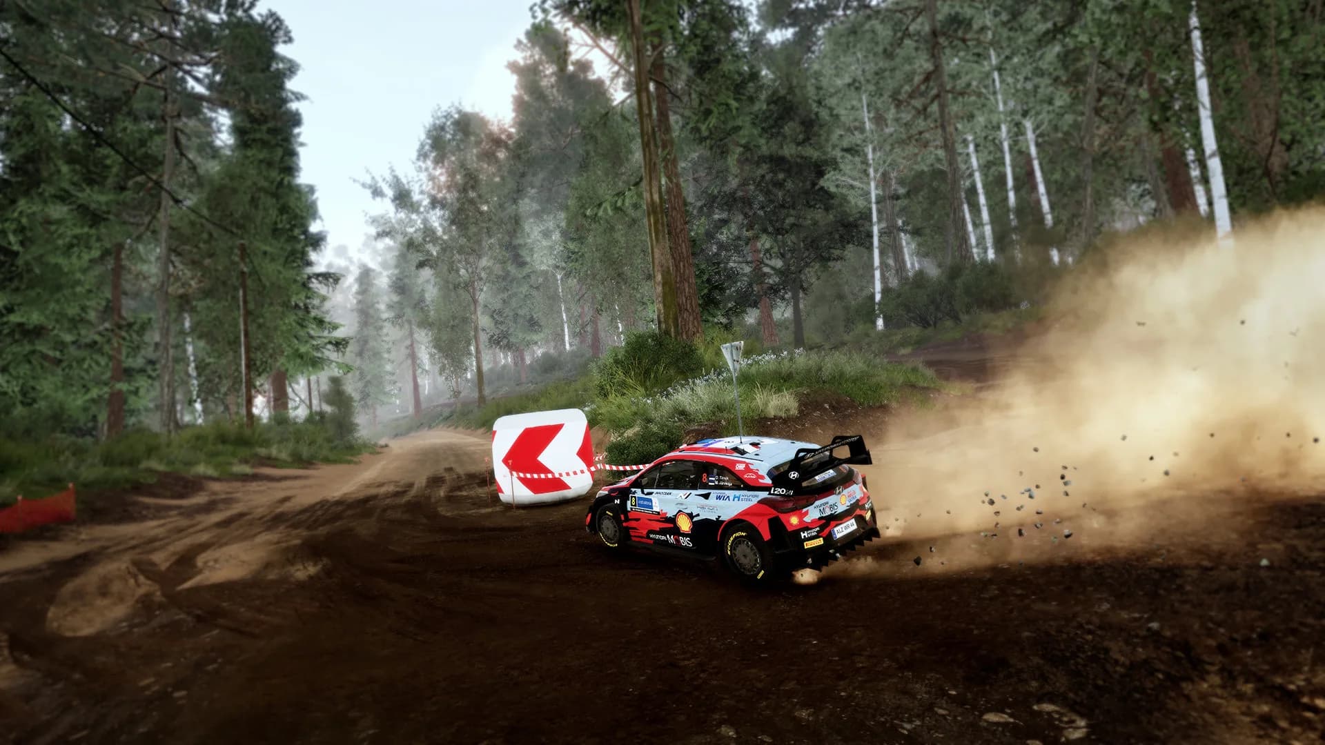 WRC 10 FIA World Rally Championship görsel 6