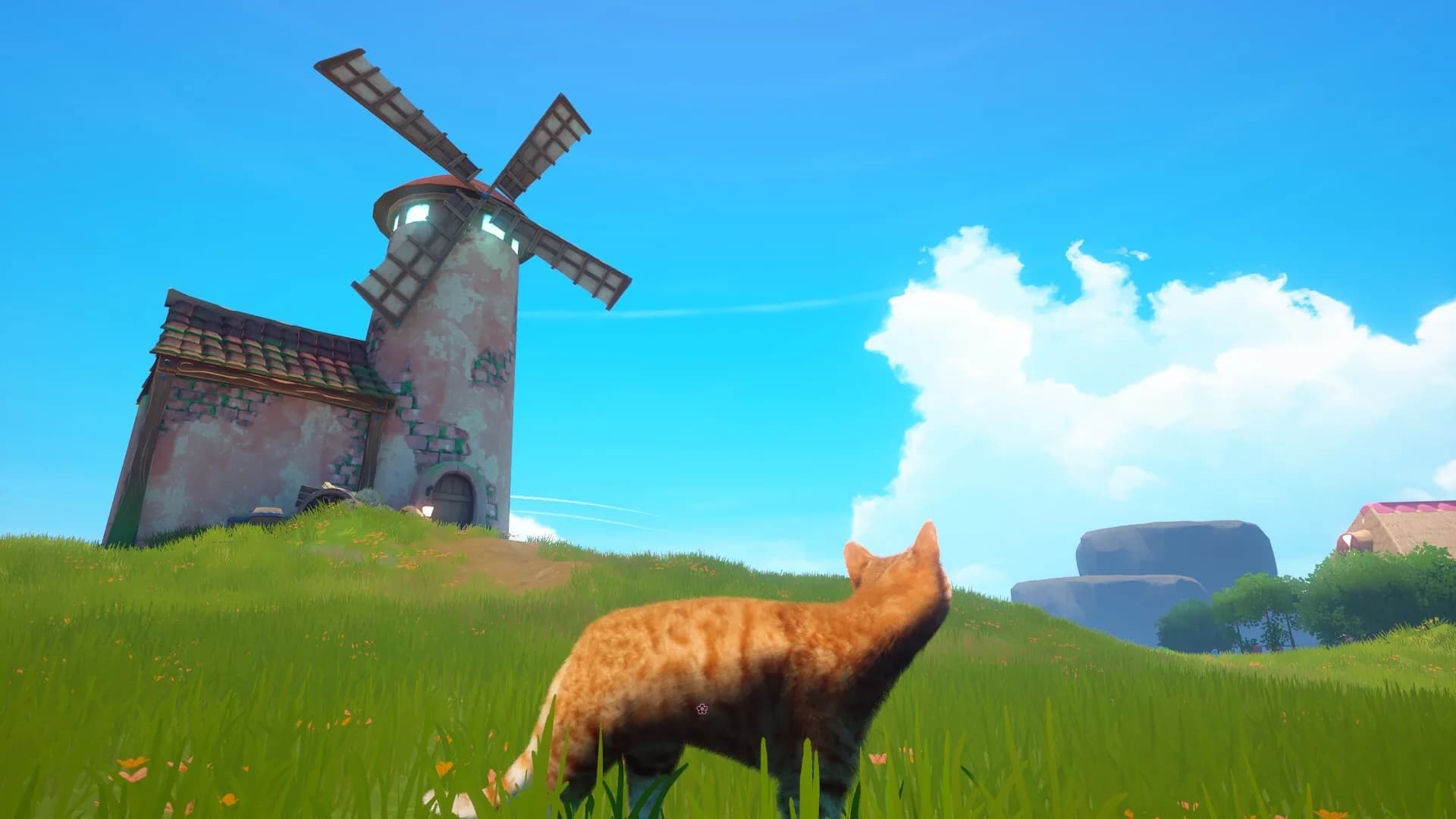 Cat Simulator: Meow görsel 7