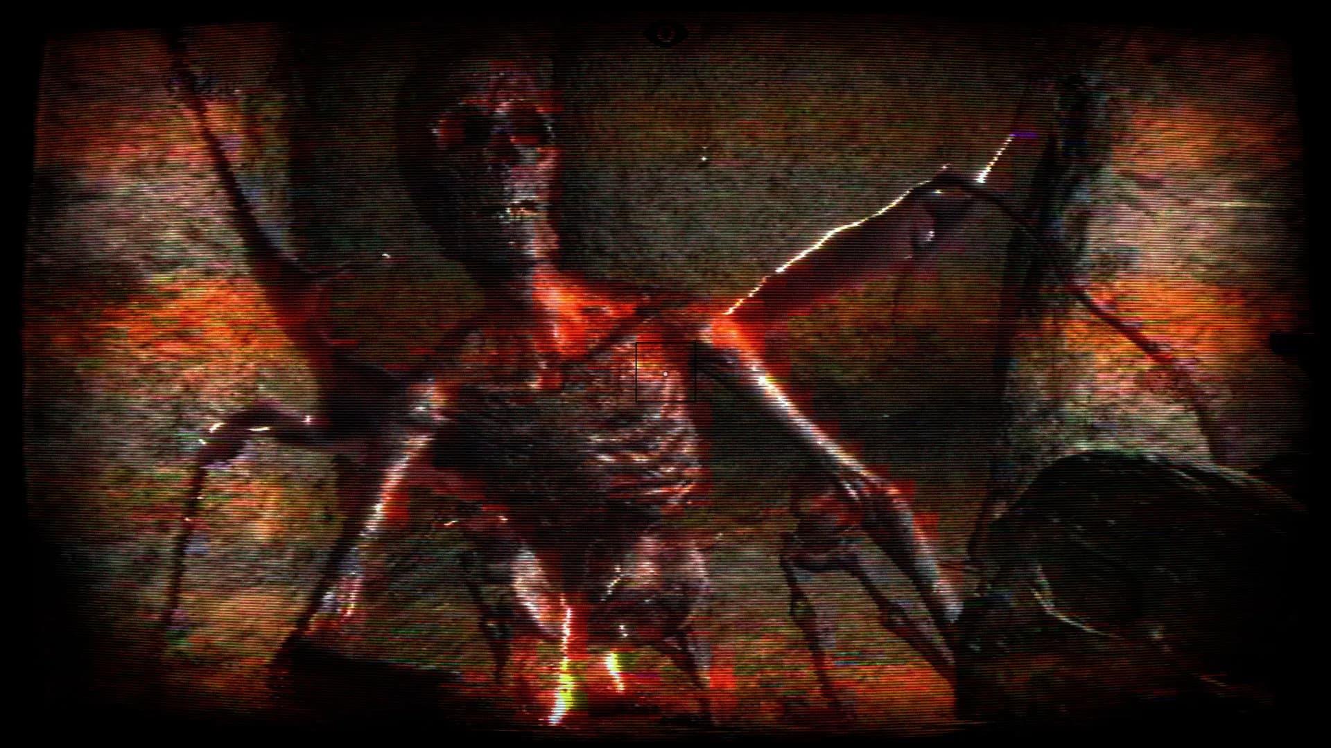 CATACOMBIA görsel 14