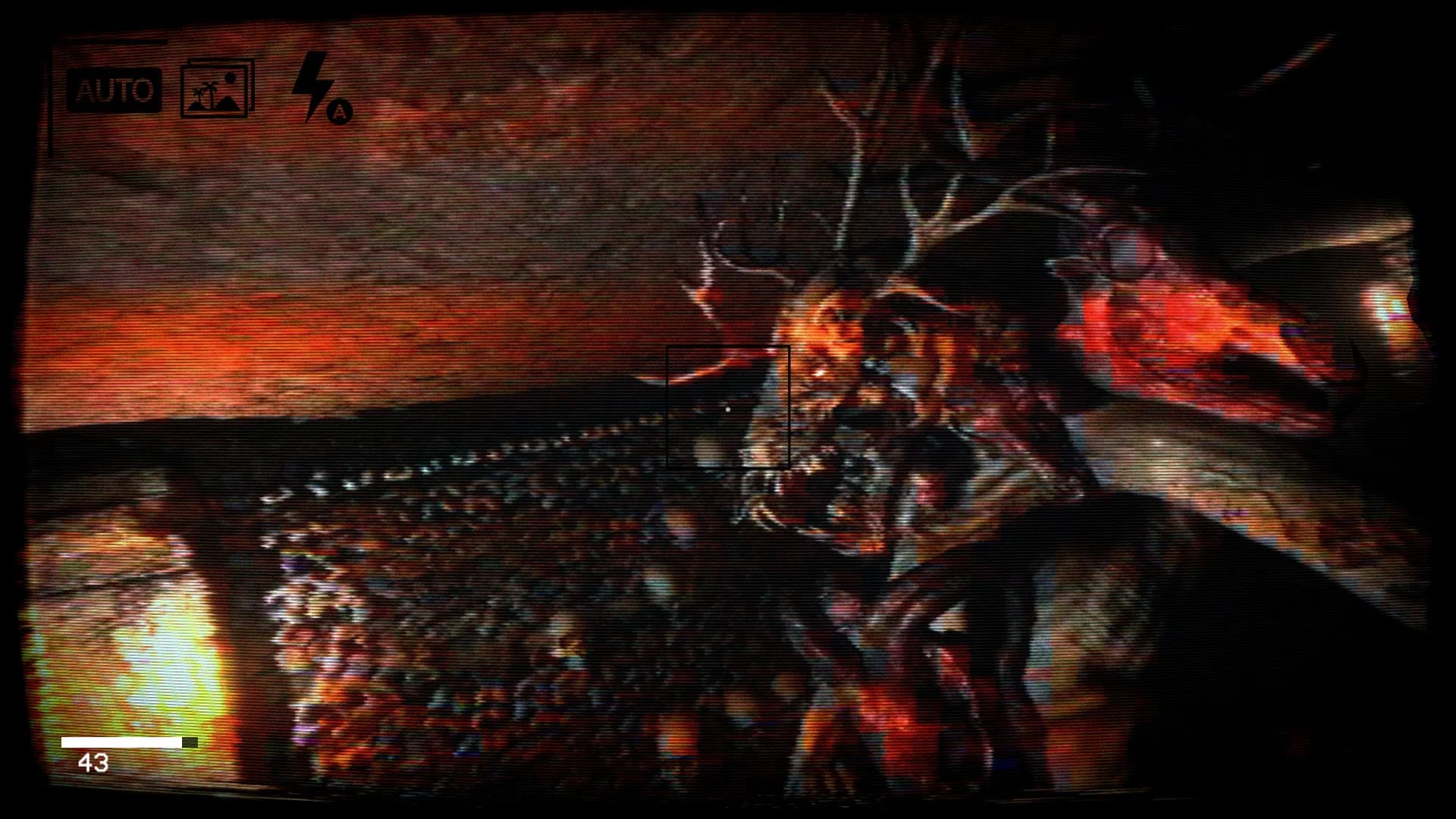 CATACOMBIA görsel 17