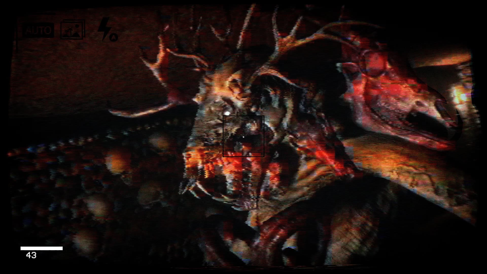 CATACOMBIA görsel 8