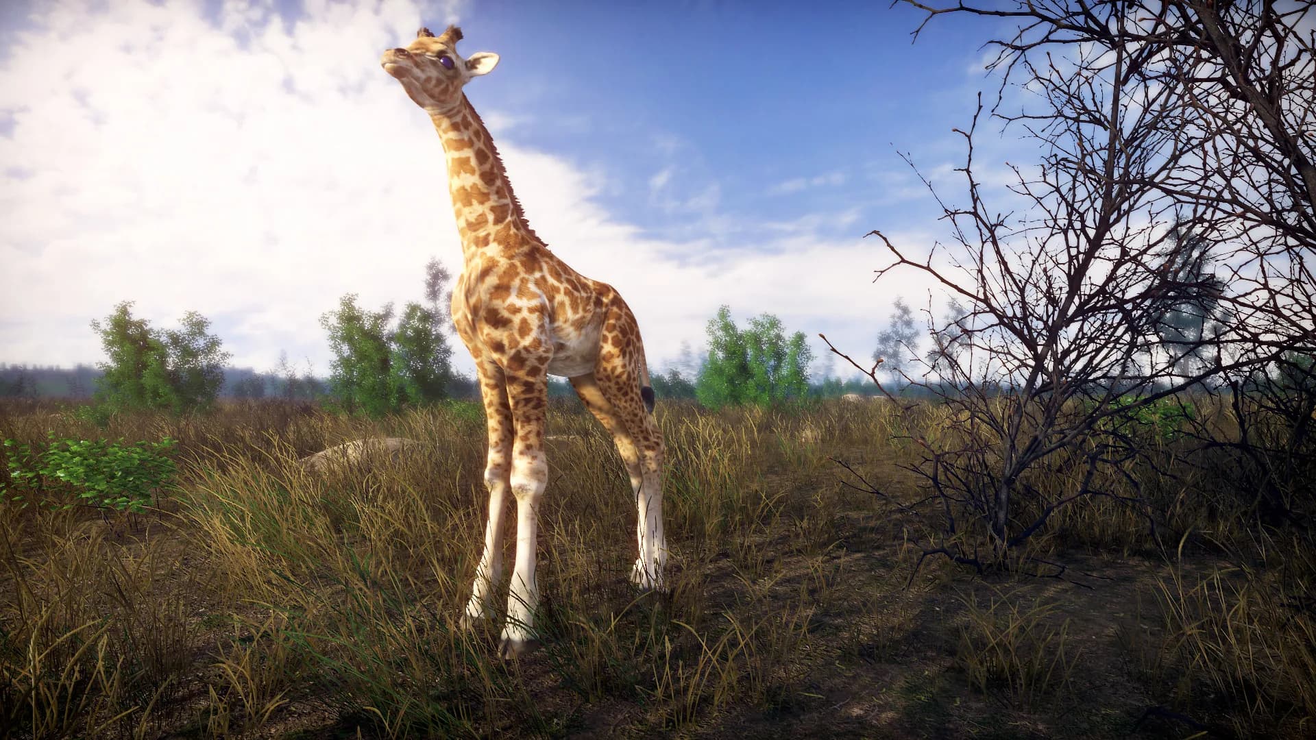 Lightning Fast görsel 24