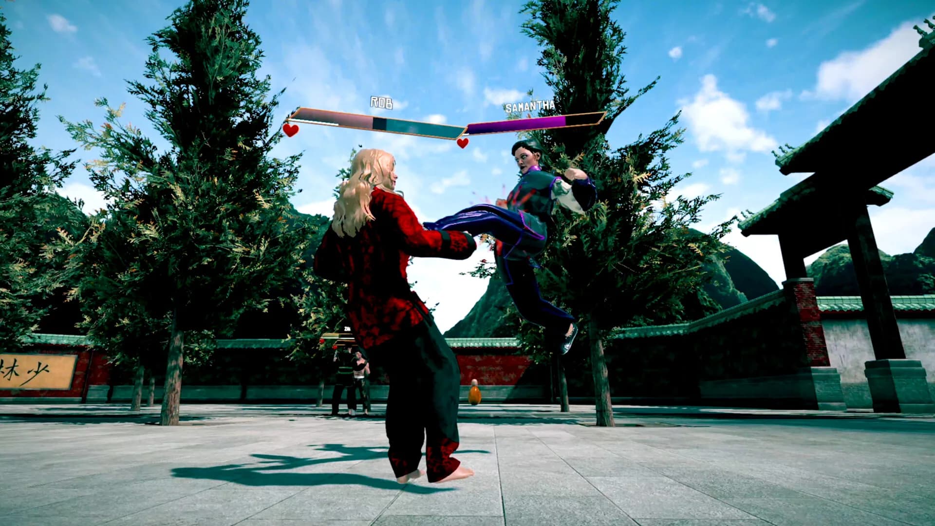Dragon Fist: VR Kung Fu görsel 7