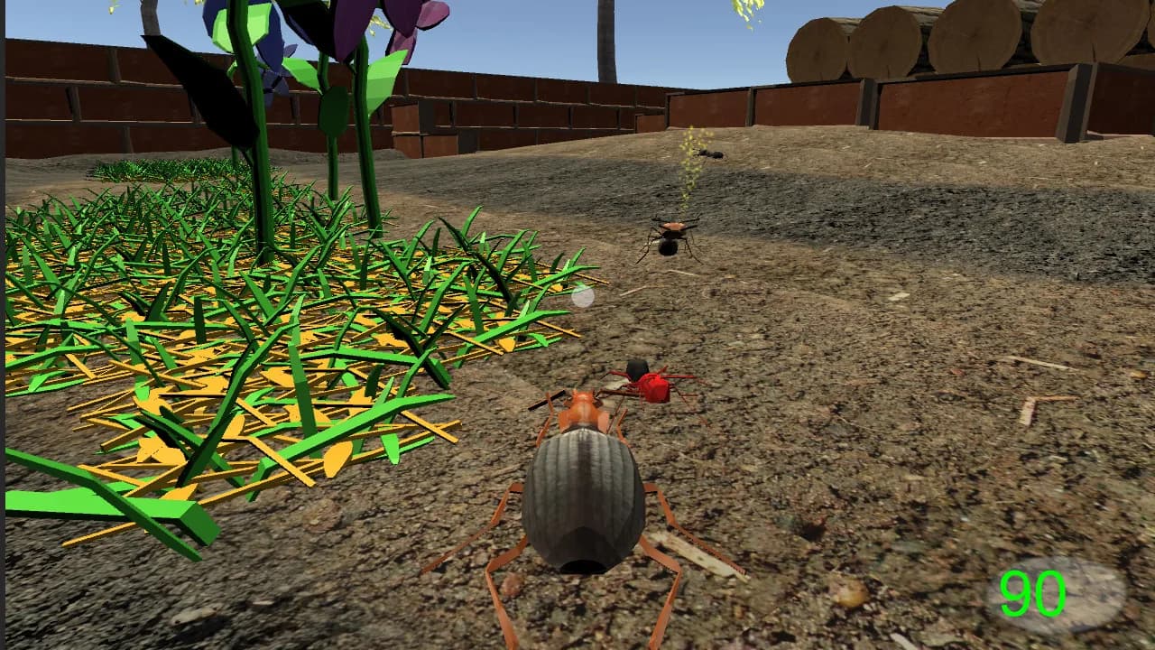 Insect: Bombardier beetle görsel 2