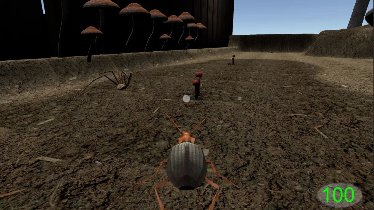 Insect: Bombardier beetle görsel 3