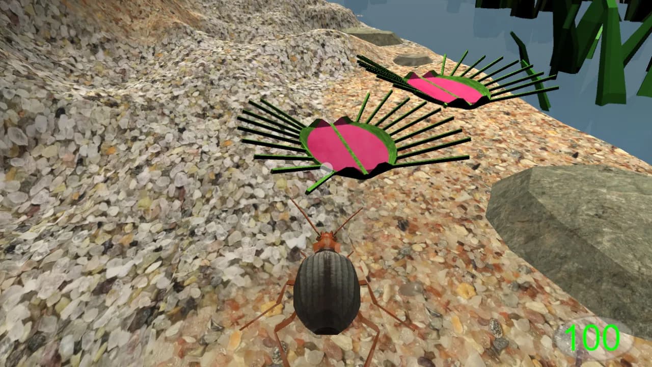 Insect: Bombardier beetle görsel 4