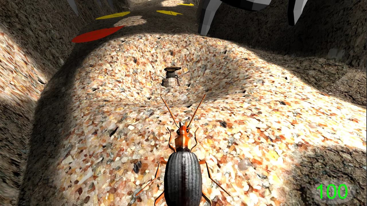 Insect: Bombardier beetle görsel 5