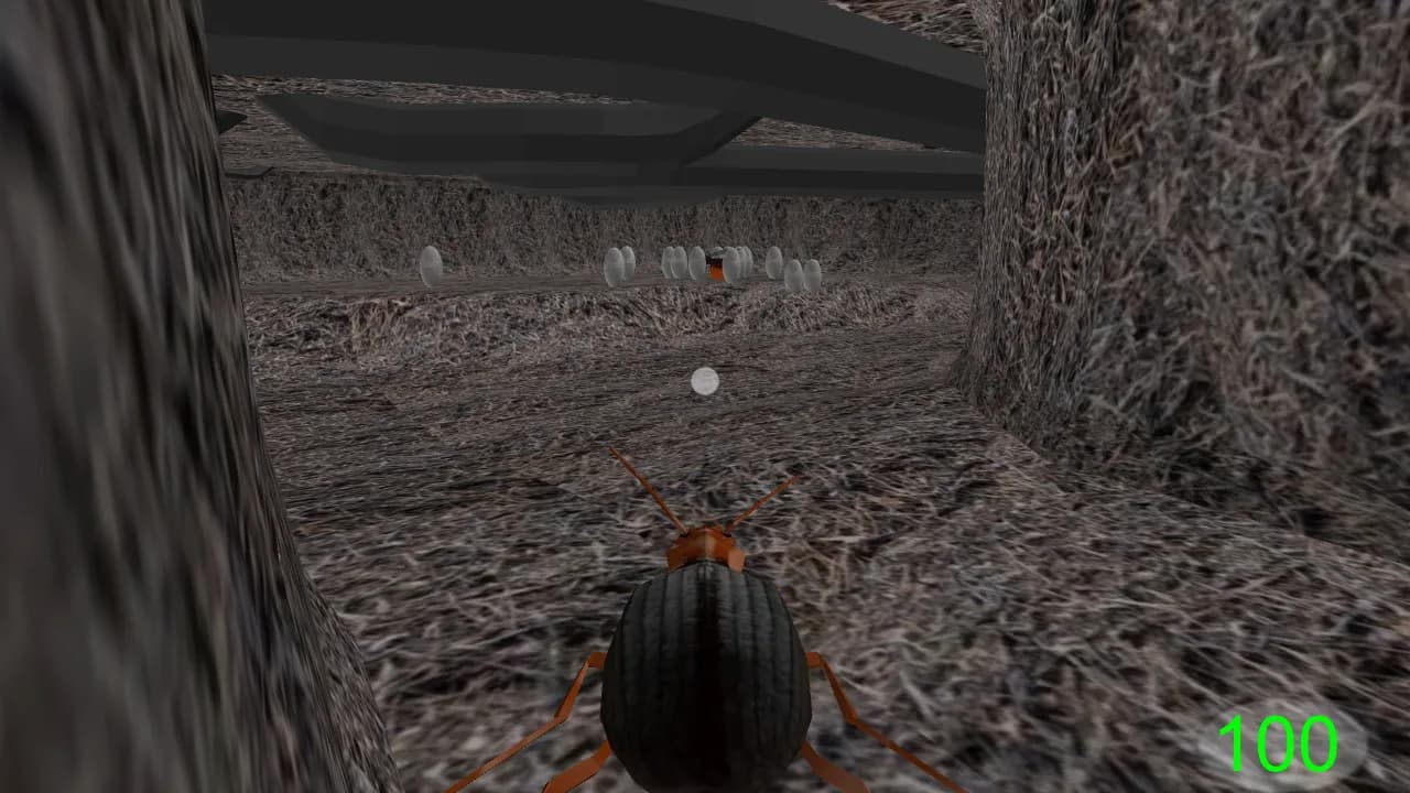 Insect: Bombardier beetle görsel 6