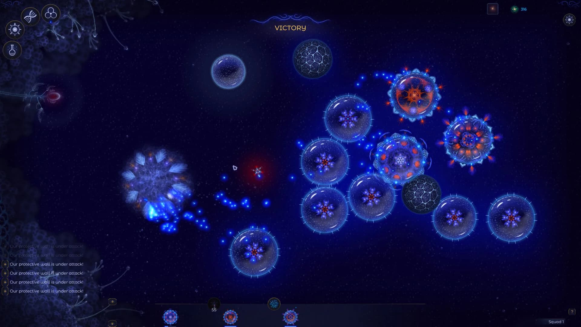 Microcosmum 2 görsel 17