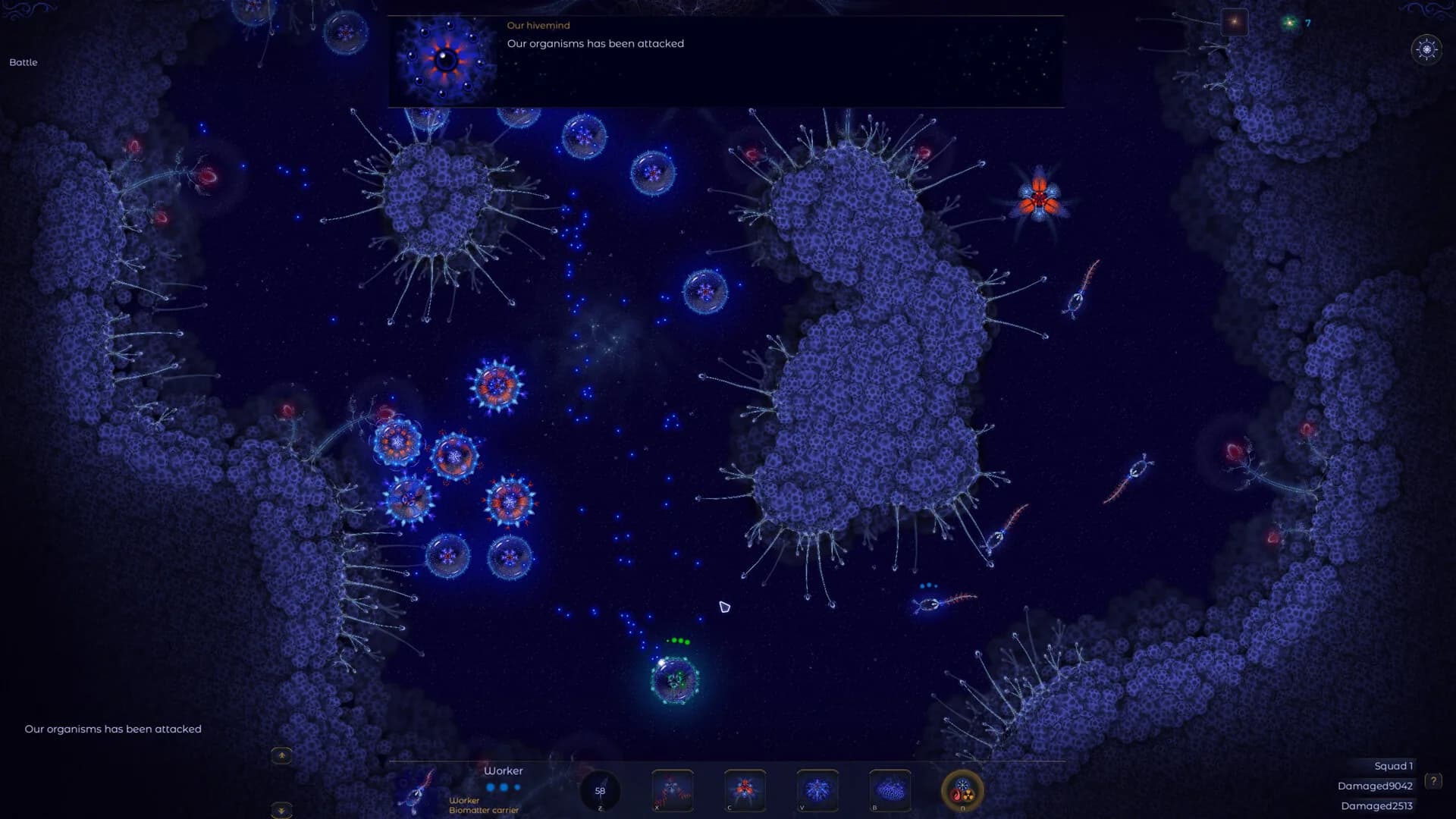 Microcosmum 2 görsel 5