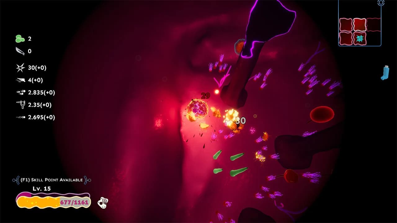 Invirium görsel 3