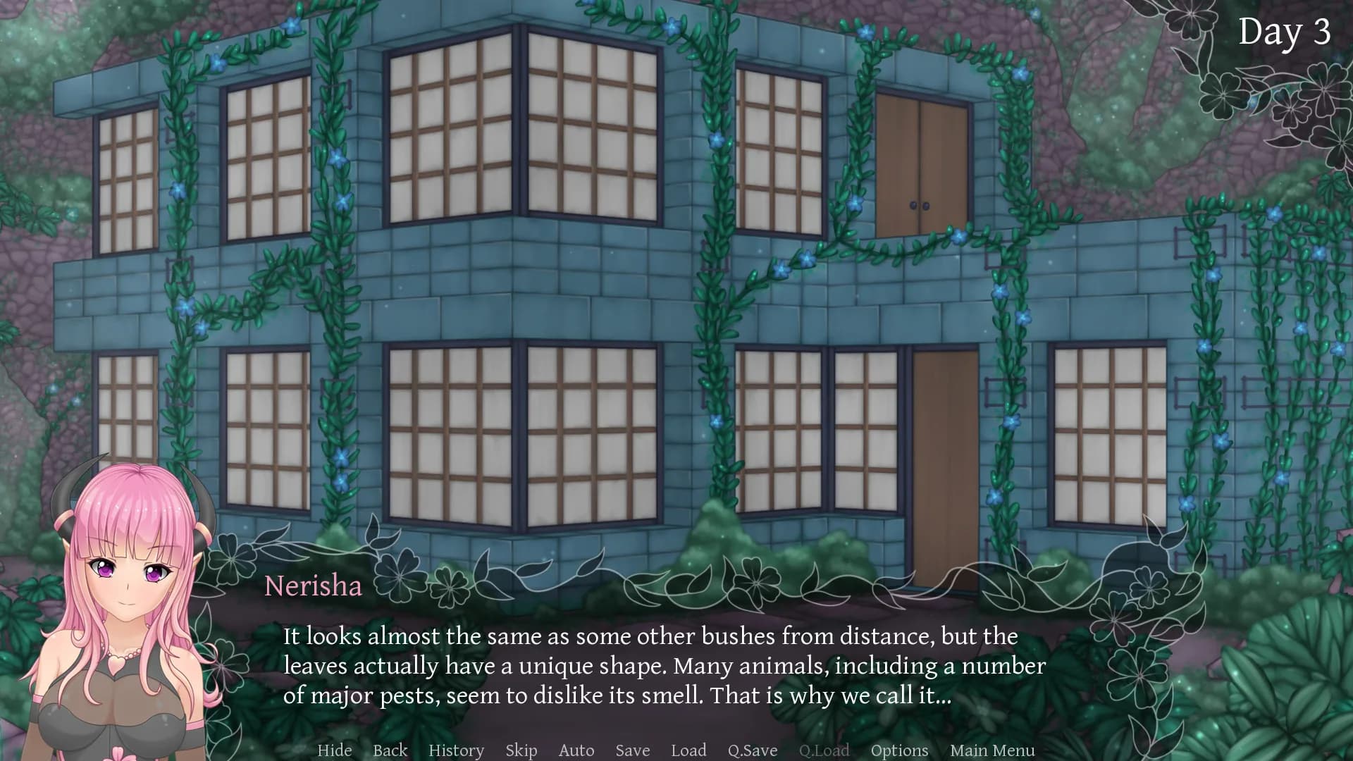 Succubus Research Diary görsel 11