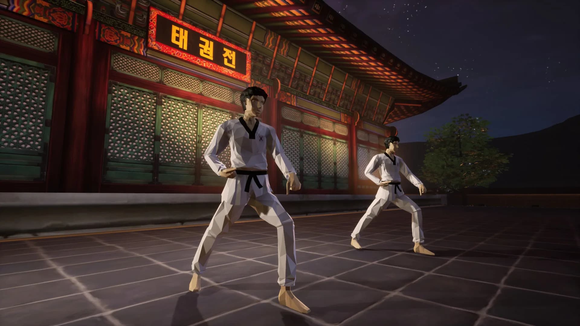 Taekwondo Demonstration Team Simulator görsel 6
