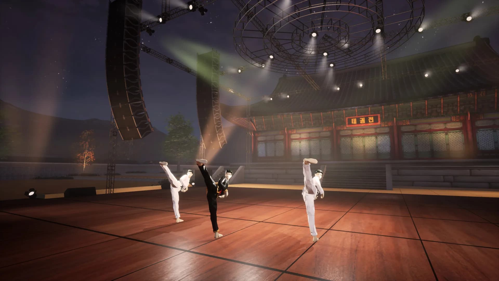 Taekwondo Demonstration Team Simulator görsel 10