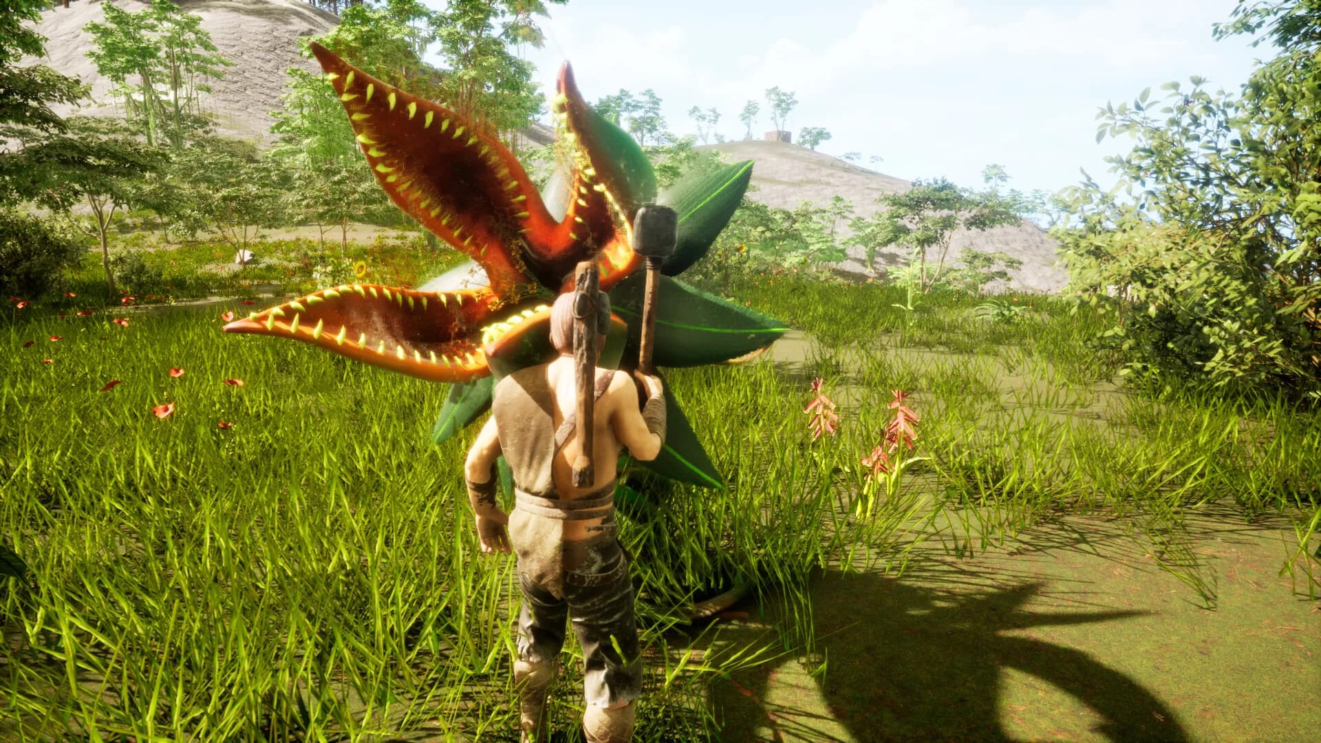 MAK: Survival görsel 10