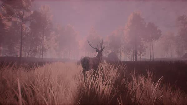 Huntfeast görsel 8