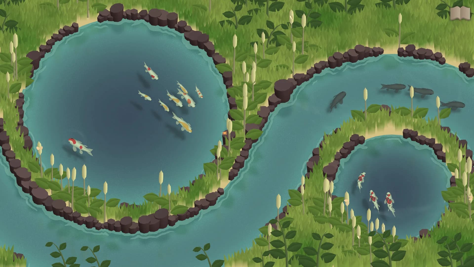 Koi Farm görsel 2