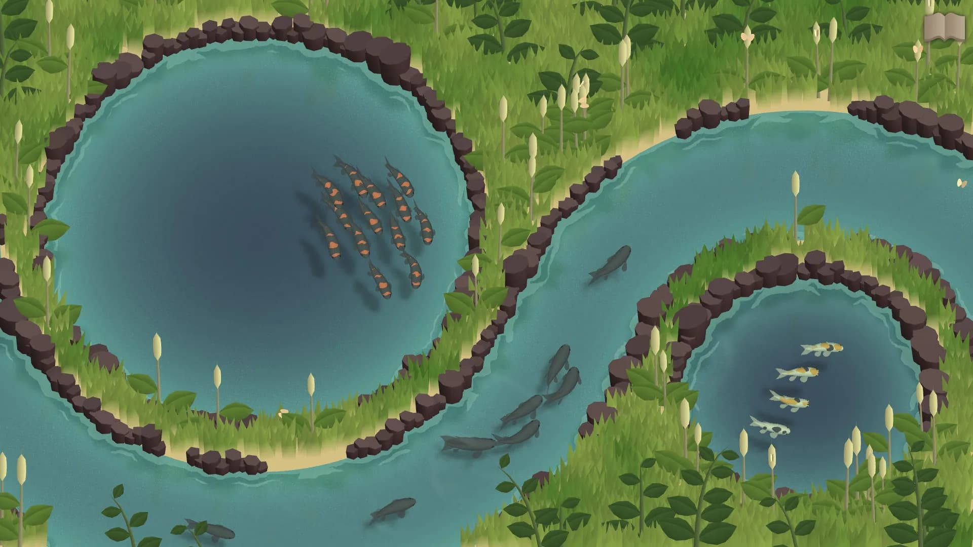 Koi Farm görsel 4