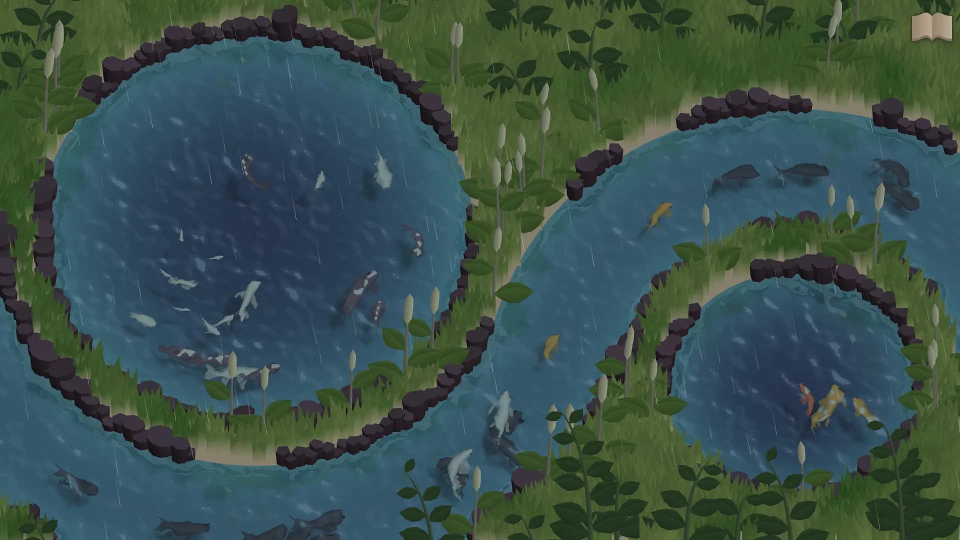 Koi Farm görsel 6