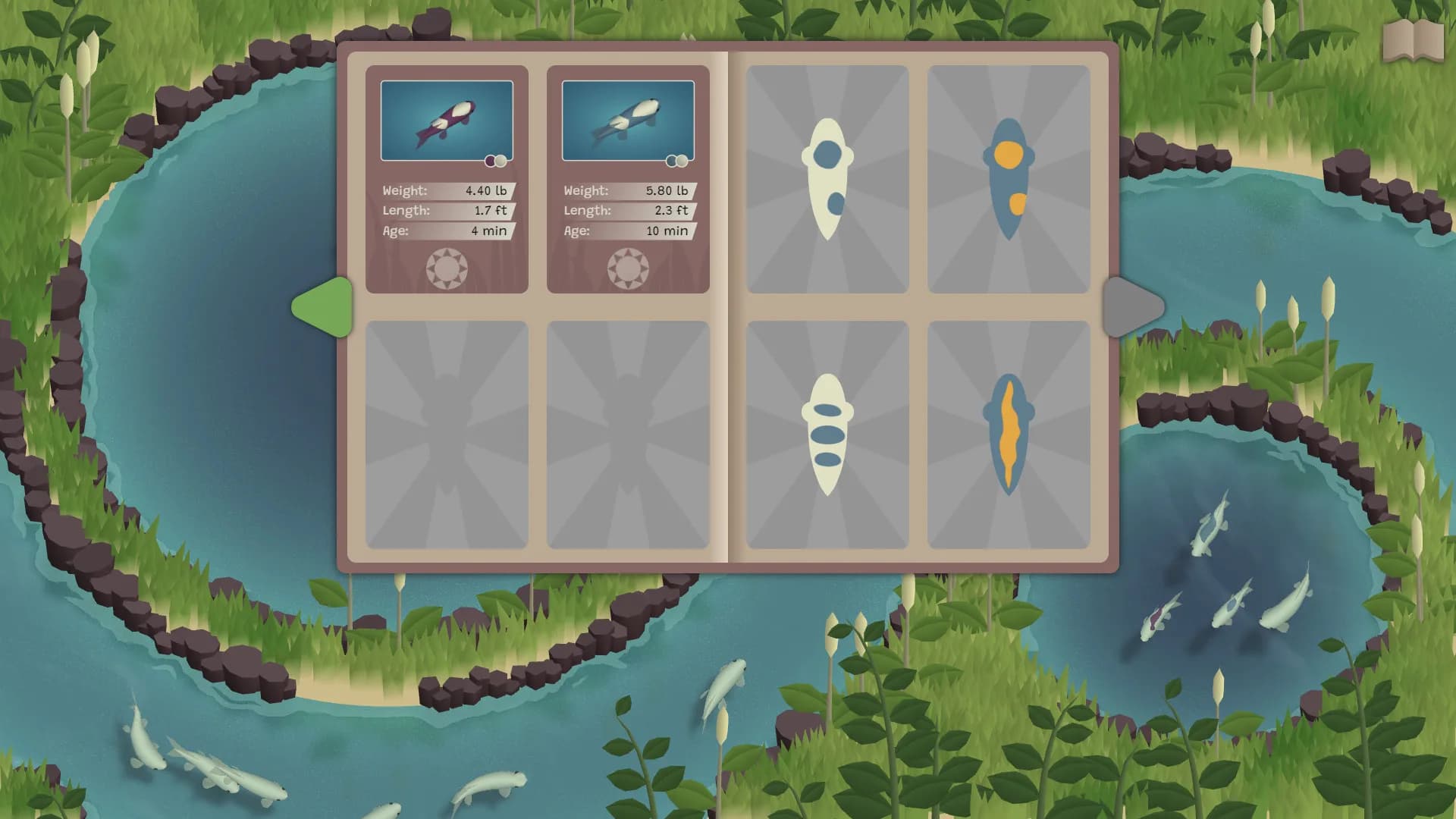 Koi Farm görsel 7