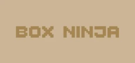 Box Ninja görsel 1
