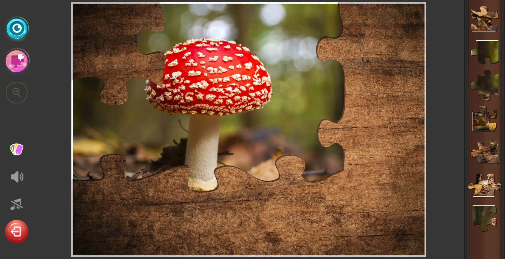 Gnome Jigsaw Puzzles görsel 4