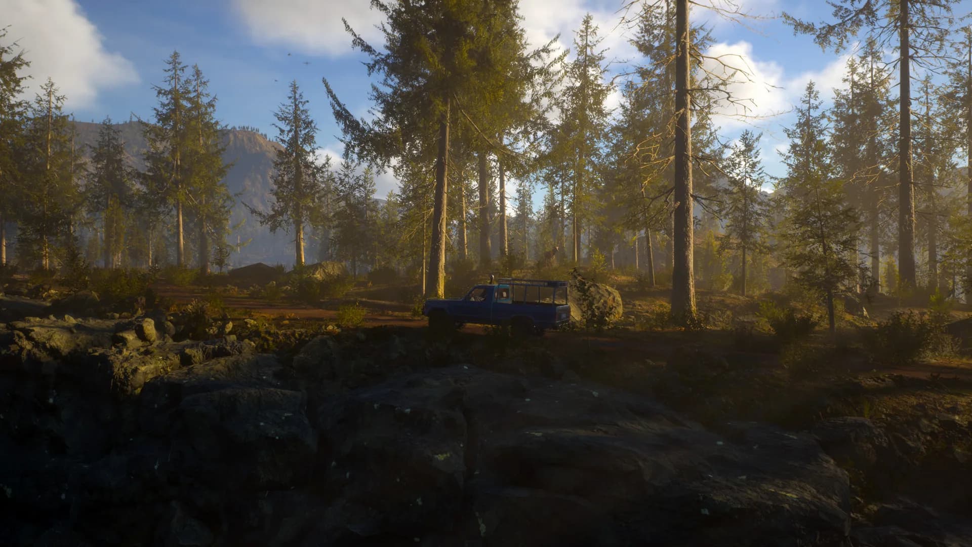 Offroad Delivery Service görsel 7