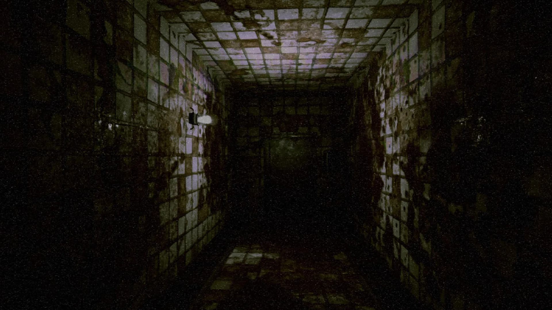 HARD TAPES görsel 6