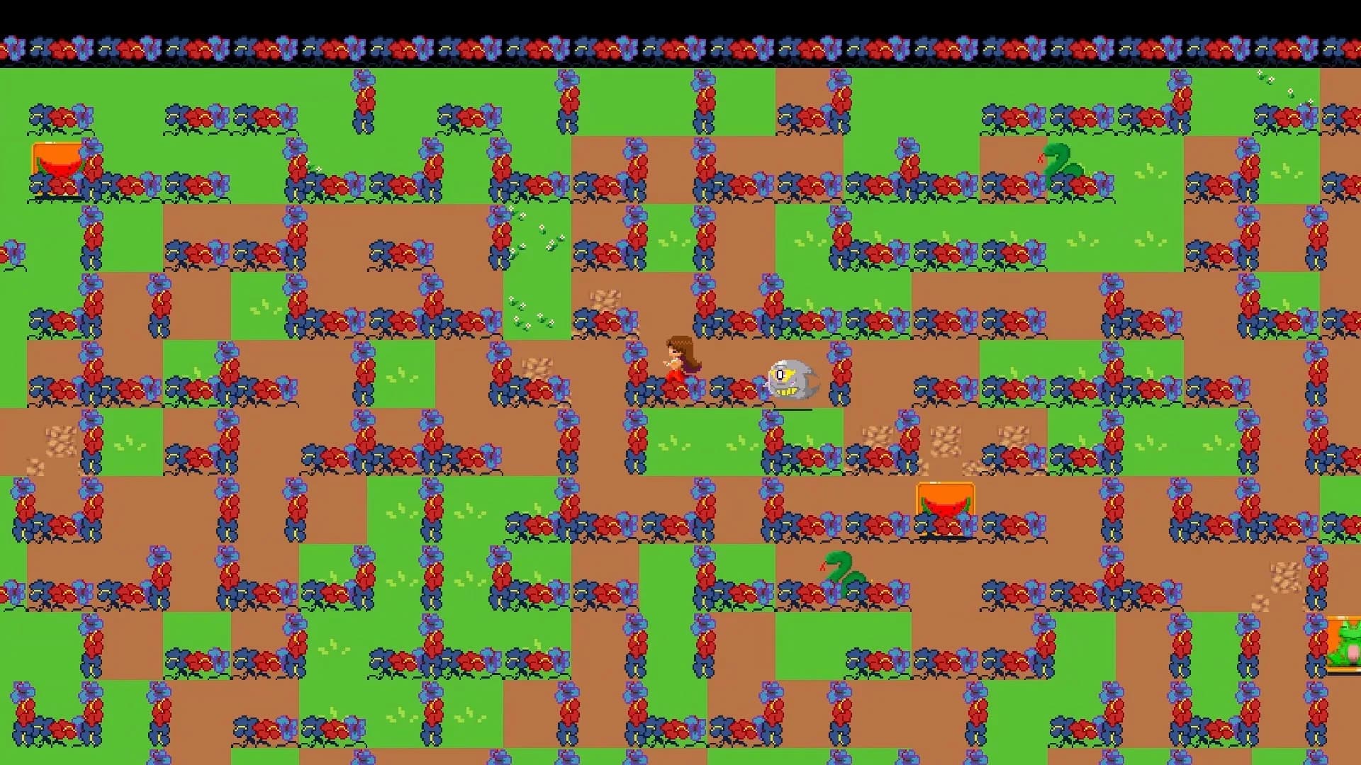 Endurance Labyrinth görsel 6