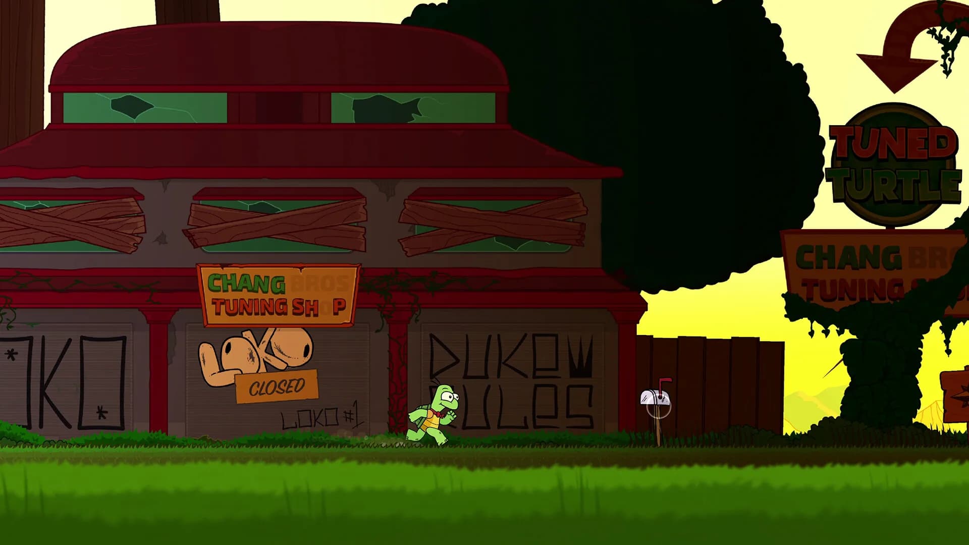 Tuned Turtle görsel 9