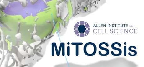 MiTOSSis görsel 1