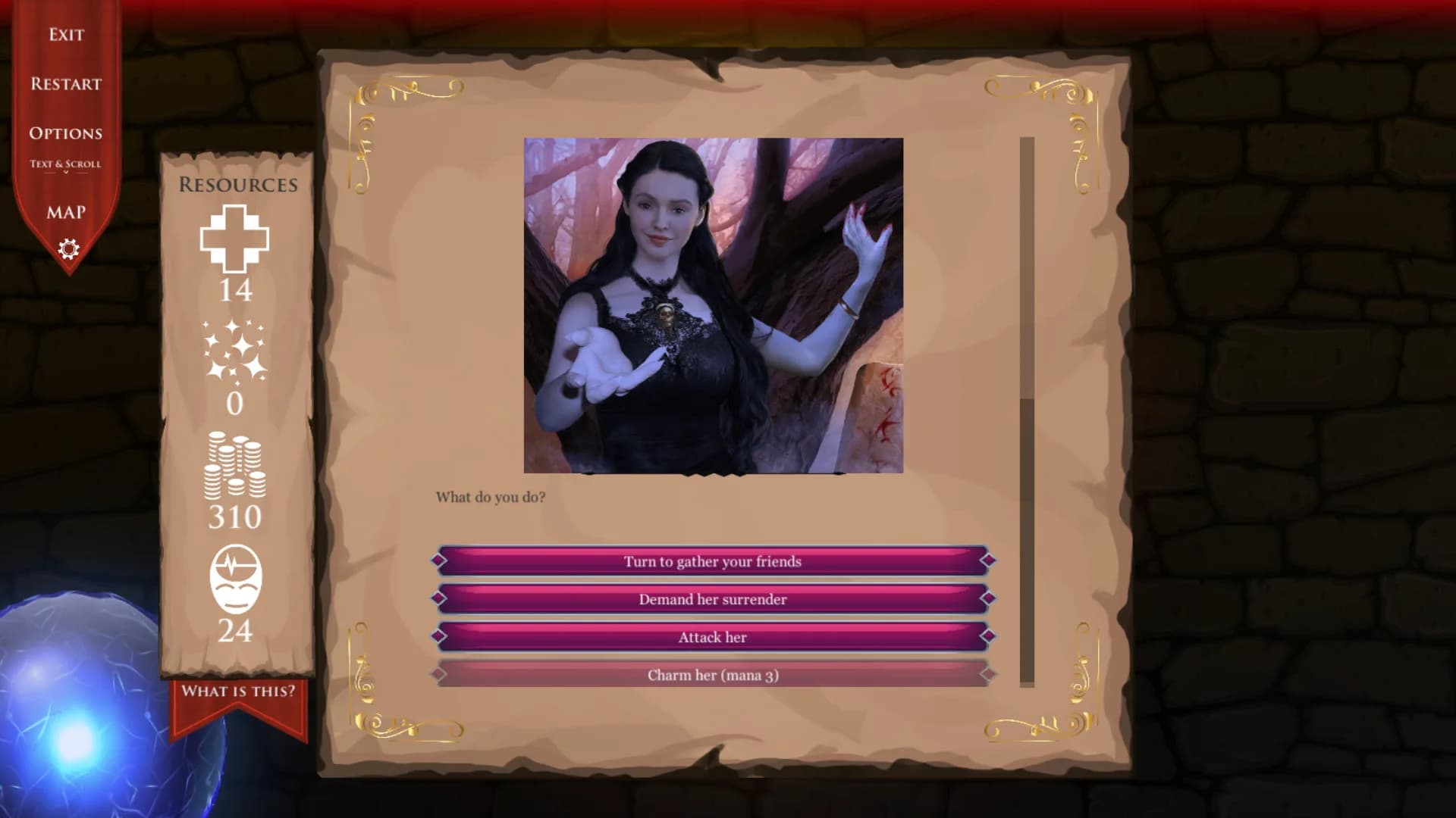 DnD Adventure: Wizard's Choice görsel 2