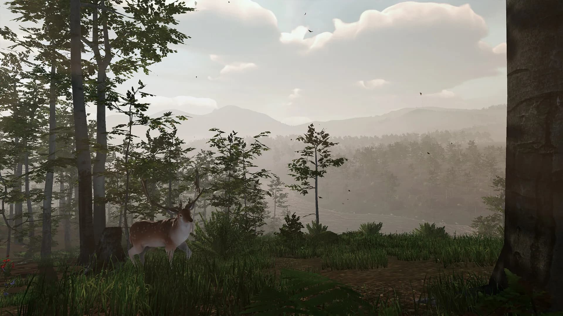 Virtual Hunter görsel 2