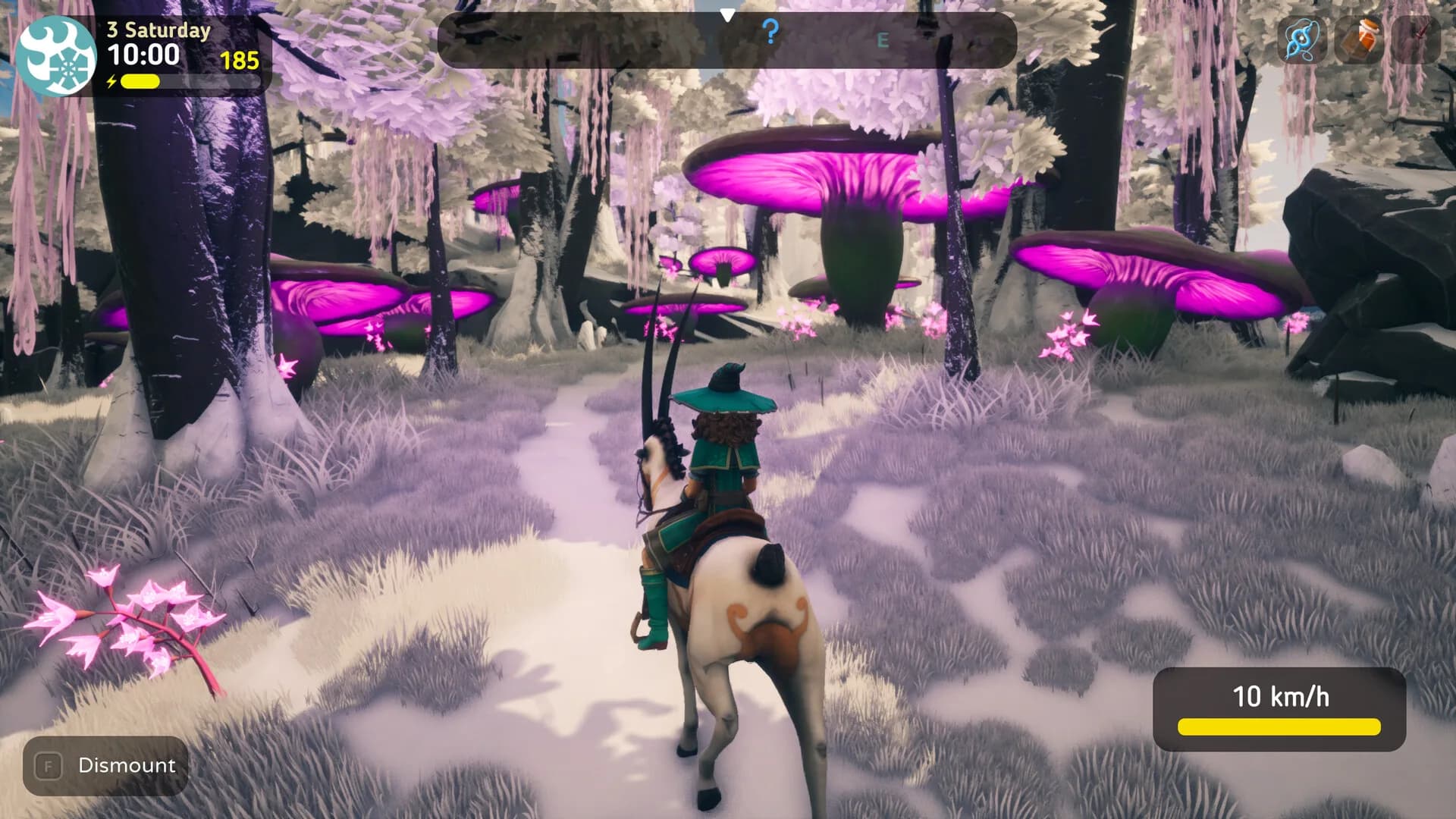 The Witch of Fern Island görsel 5