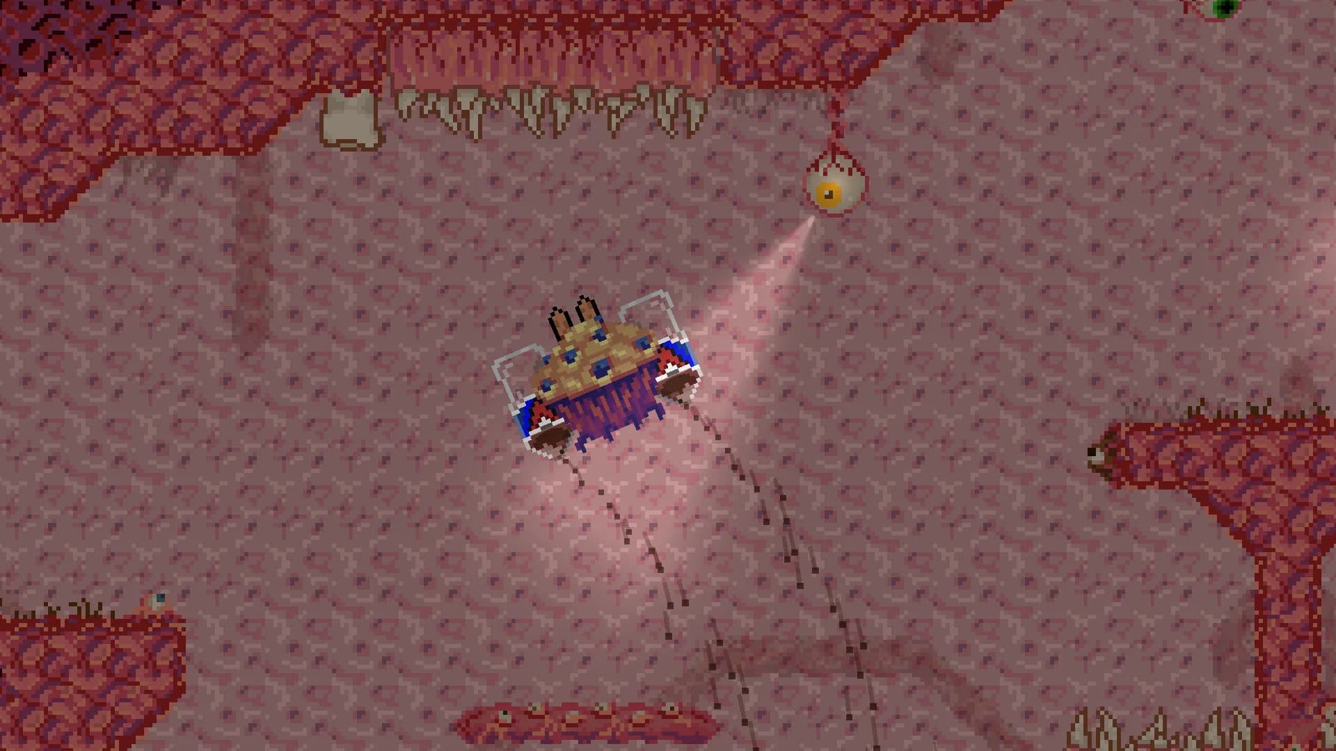 Here Goes Muffin görsel 7