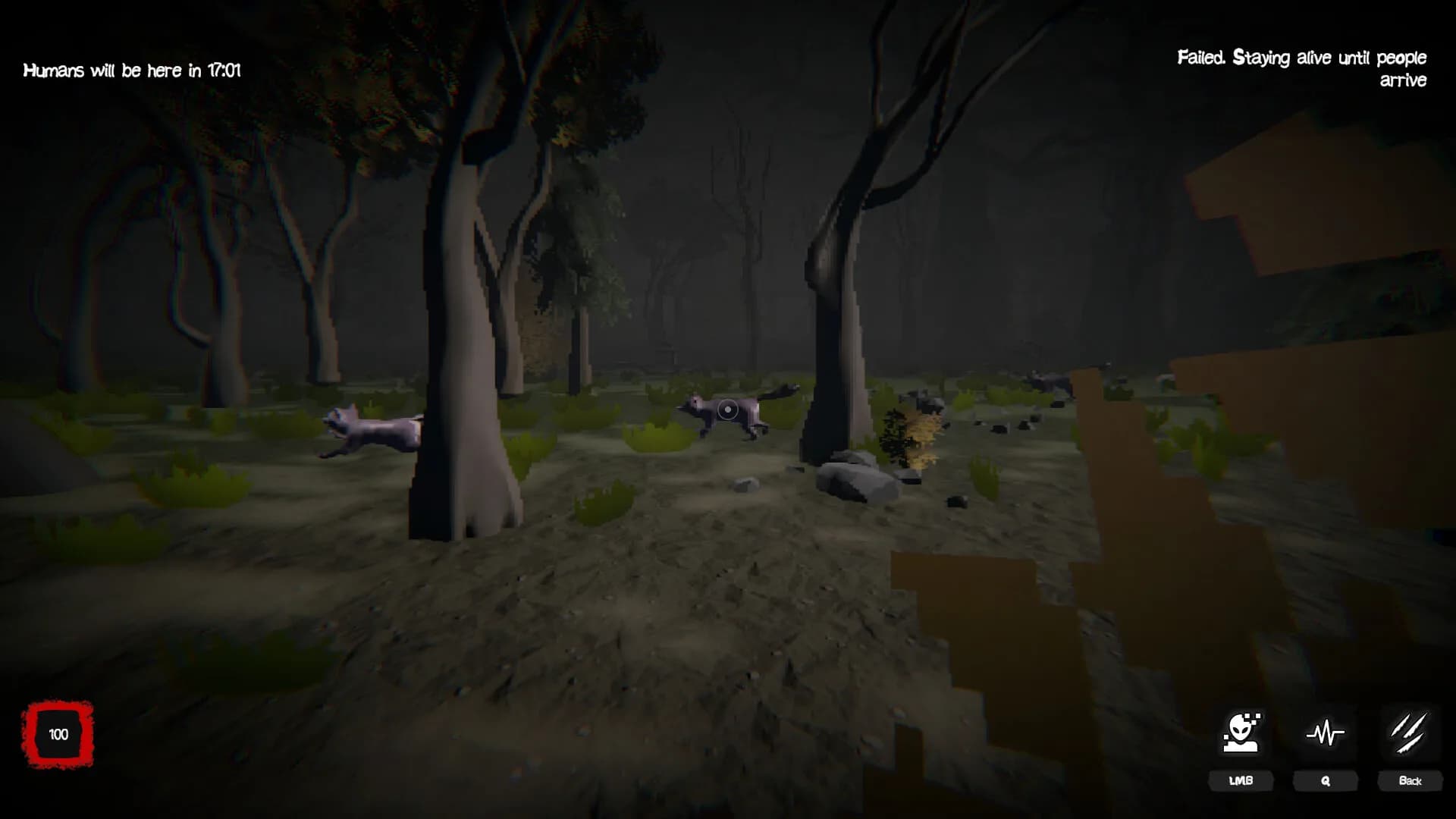 Coonwood görsel 7