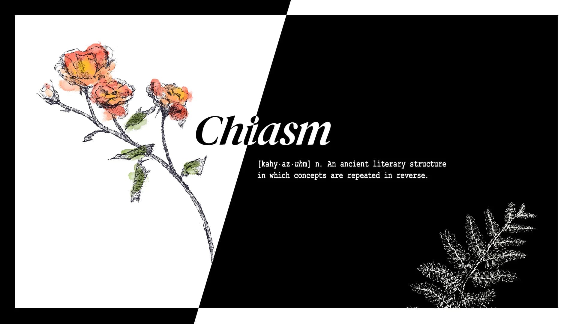 Chiasm görsel 2