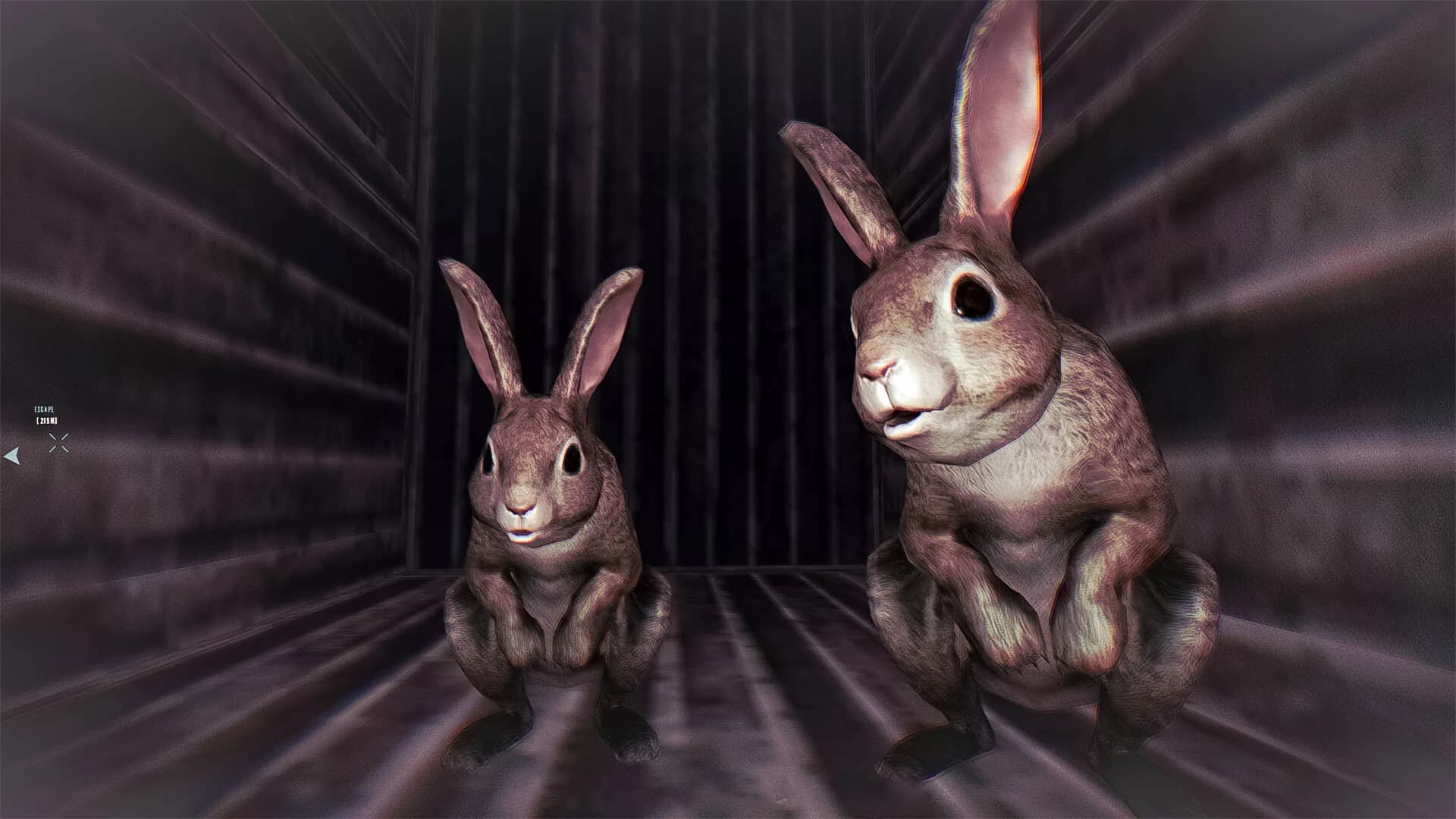 Rabbit Riot görsel 4