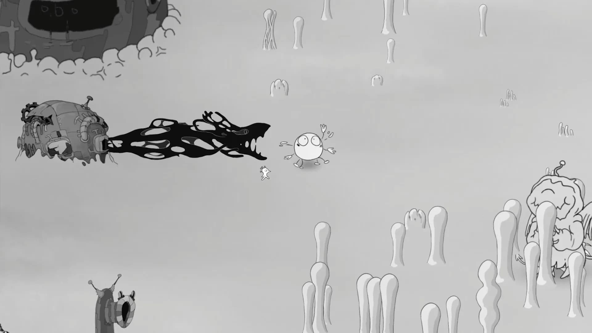 Bioid görsel 13