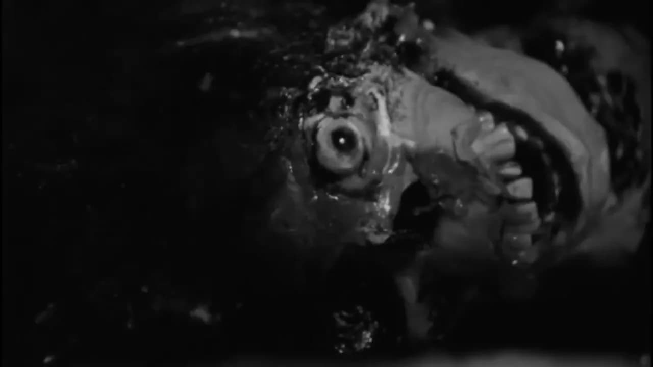 ROUGH KUTS: Night of the Living Dead görsel 8